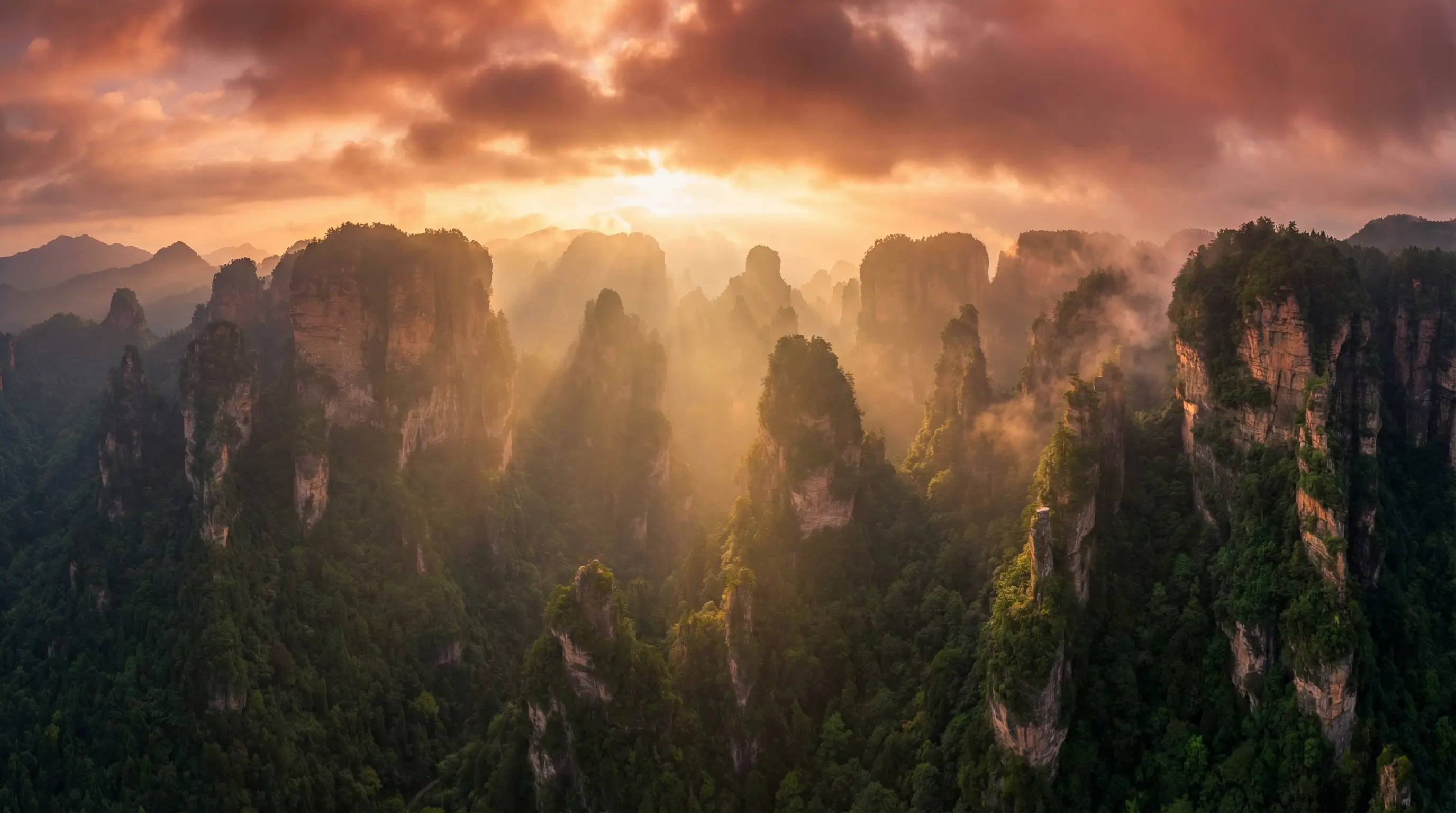 迷人的保拇韩剧免费观看 自然风光视频封面